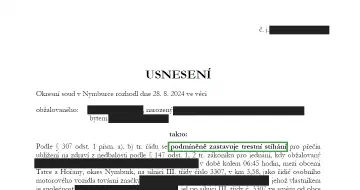 Anonymizované rozhodnutí, Nehoda s těžkou újmou na zdraví