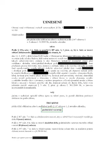 Anonymizované rozhodnutí, Střet s chodkyní, poranění mozku